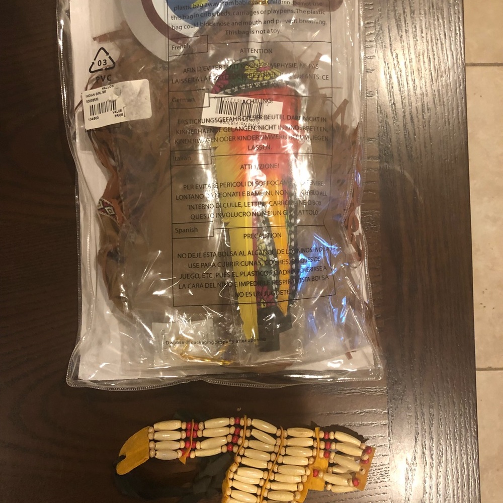 Halloween Indian girl costume